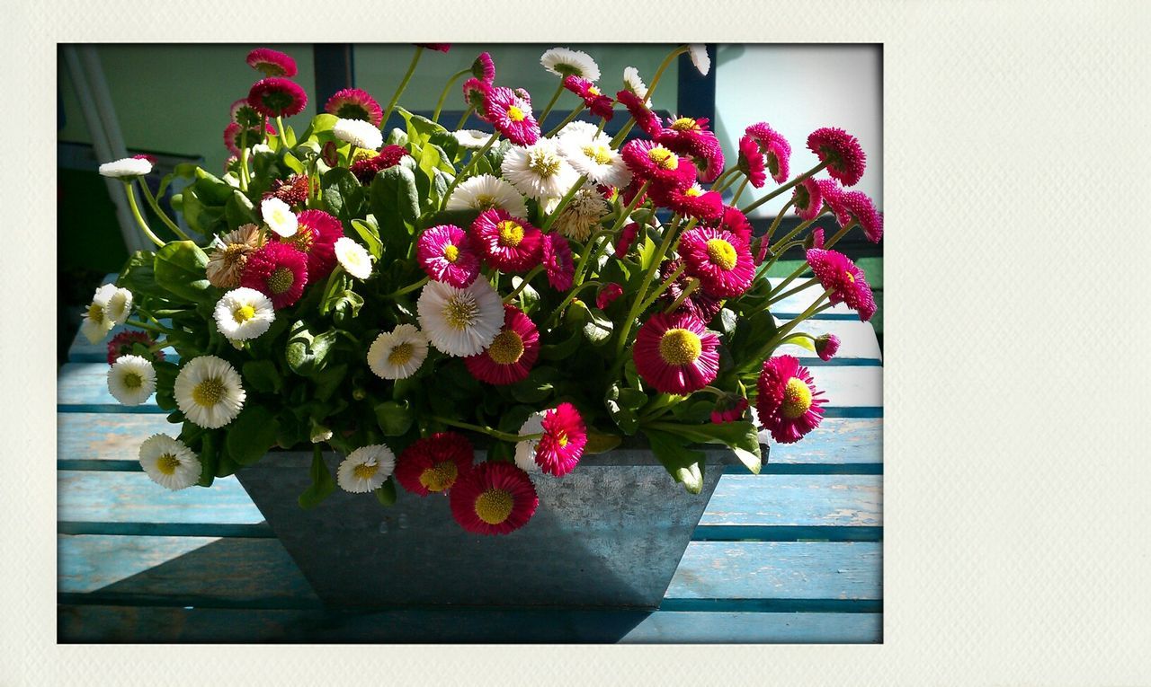 flower, indoors, transfer print, freshness, vase, fragility, auto post production filter, petal, potted plant, decoration, plant, growth, bunch of flowers, home interior, flower head, flower arrangement, flower pot, bouquet, beauty in nature, pink color