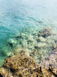 High angle view of sea shore