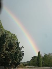 Rainbow over trees against sky