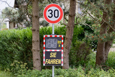 Information sign on road by trees