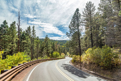 Scenic view of road amidst trees against sky