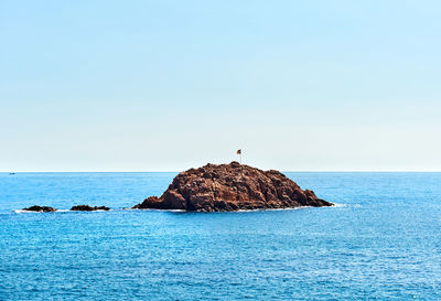 Birds perching on sea against clear sky