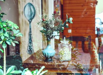 Close-up of potted plant on table