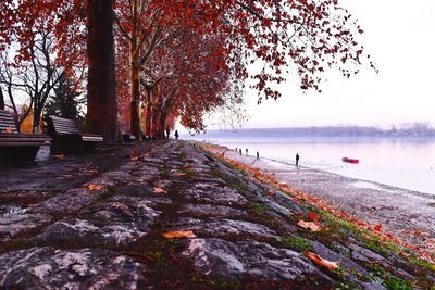 Scenic view of lake during autumn