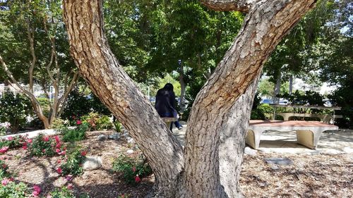 Rear view of woman against trees