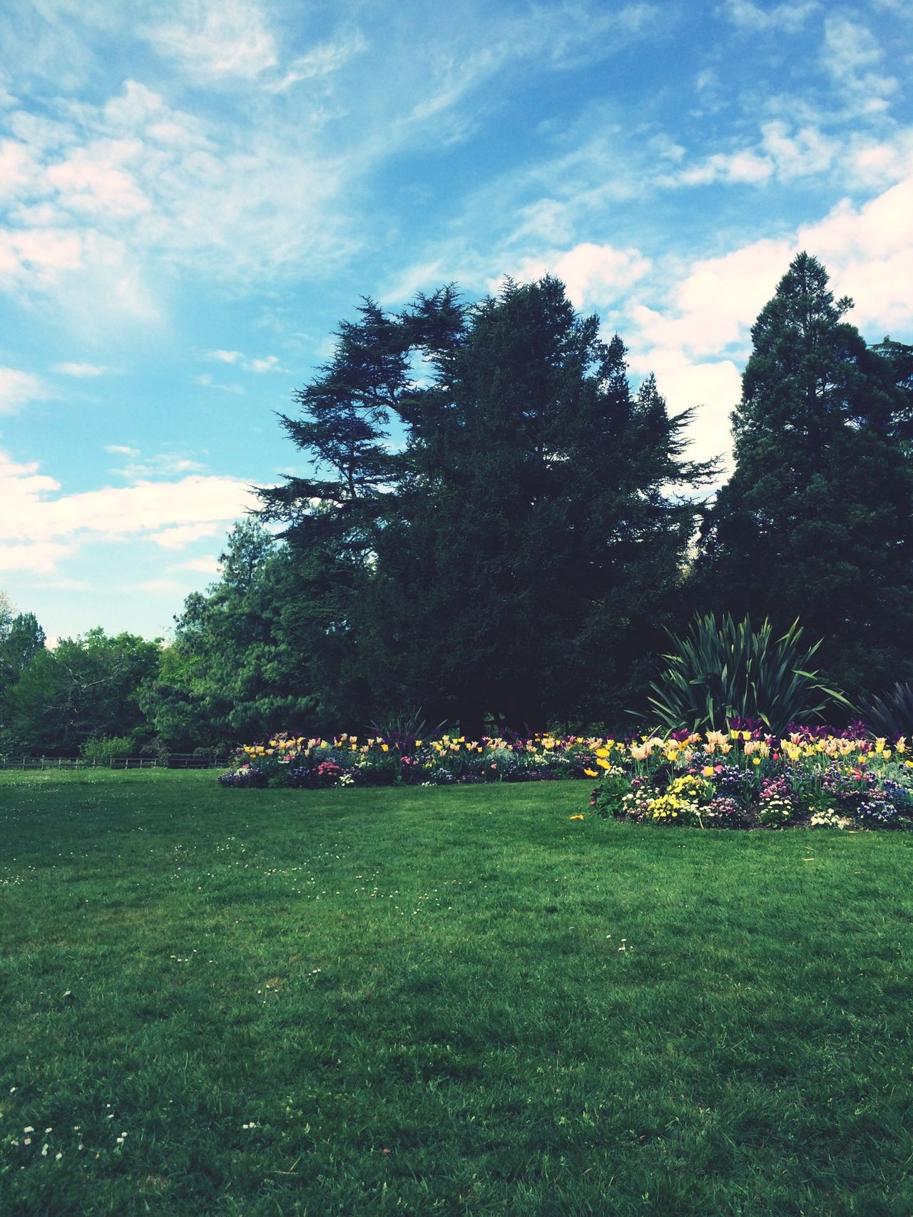 Parc du Vivier