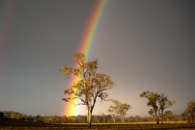 Scenic view of rainbow over field against sky