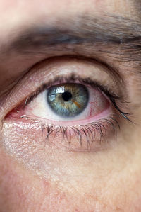 Close-up of woman eye