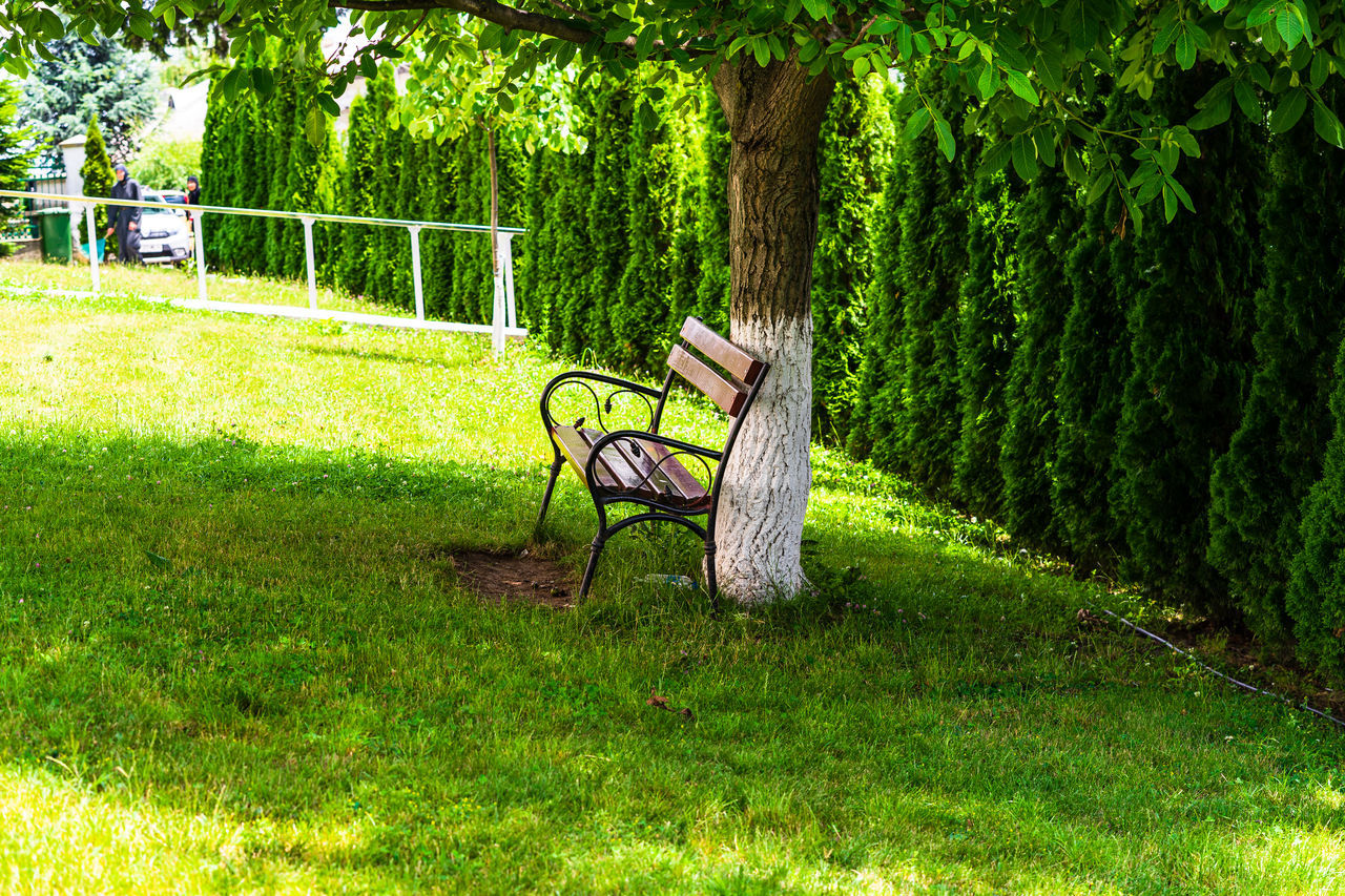 EMPTY BENCH ON FIELD BY PARK