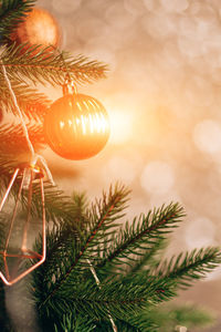 Close-up of christmas ornament hanging on tree