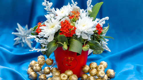 Close-up of white flowers against blue wall