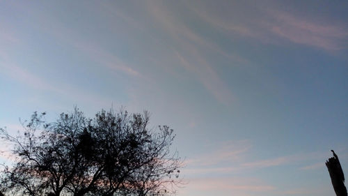 Low angle view of silhouette trees against sky at sunset