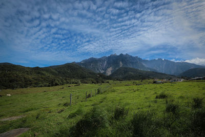 Scenic view of landscape and mountains against sky