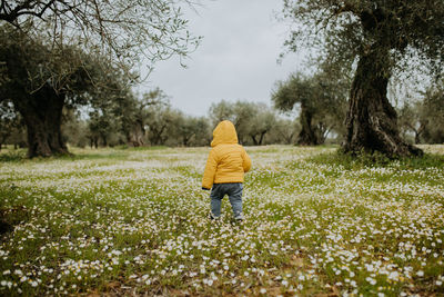 Rear view of child walking on field