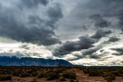 Owens valley california desert landscape with gray cloud and distant mountain range