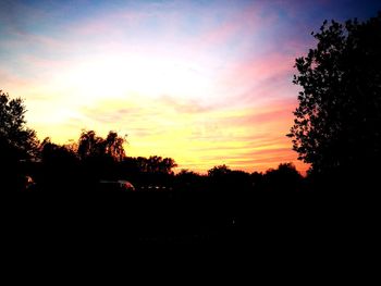 Silhouette trees against sky during sunset