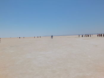 Group of people on beach against clear sky