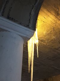 Close-up of yellow at night