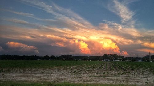 Scenic view of agricultural field against sky during sunset