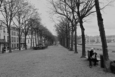 Treelined footpath along bare trees