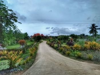 Road amidst plants against sky