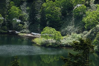 Spring color of hachimantai