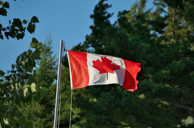 Canadian flag on pole magnificently waving flying and flapping by trees on sunny summer day
