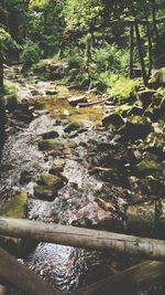 Stream flowing through rocks in forest