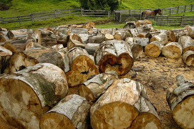 Stack of stones on field in forest