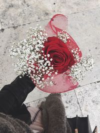 Close-up of hand holding flower