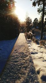 Snow covered road amidst trees against sky