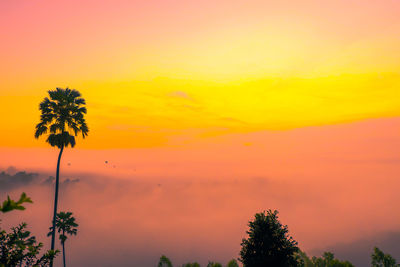 Low angle view of silhouette trees against romantic sky