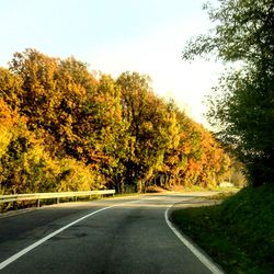 Empty road along trees