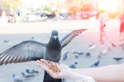 Midsection of man eating bird against blurred background