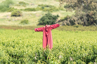 Rear view of woman with pink umbrella on field