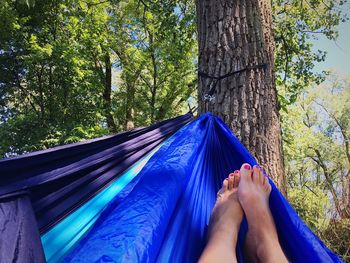 Low section of people relaxing on tree trunk