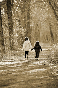 Two children walking in the forest