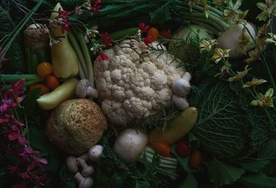 High angle view of vegetables