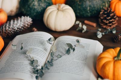 High angle view of pumpkins on table