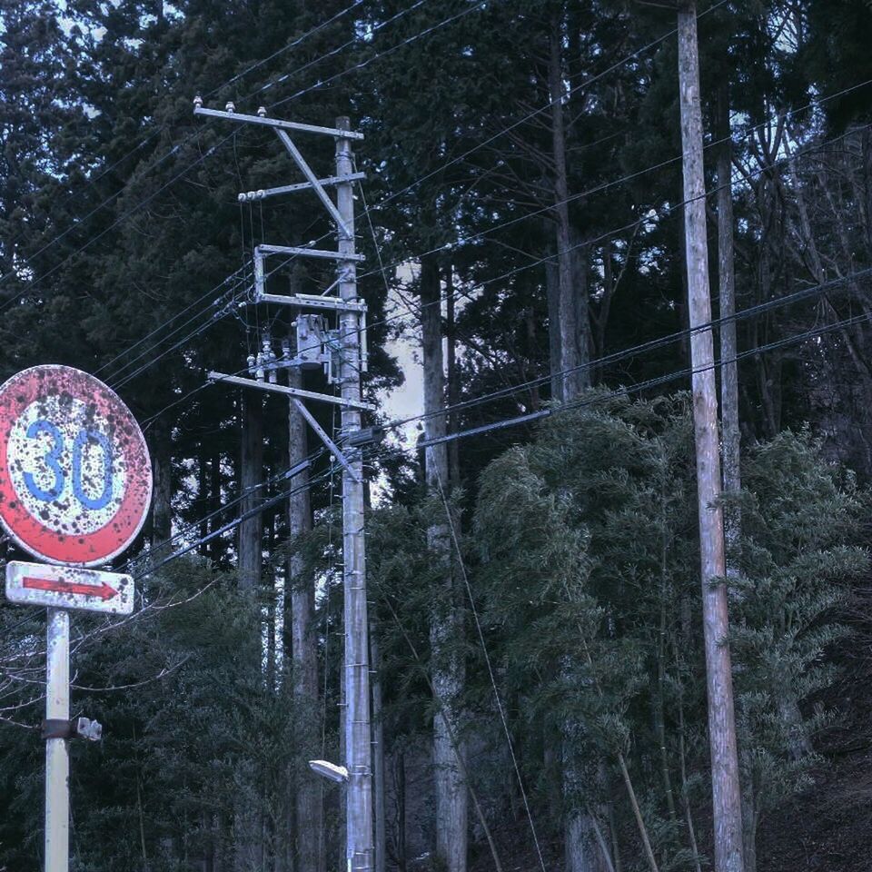 tree, communication, text, road sign, information sign, sign, western script, guidance, forest, low angle view, transportation, warning sign, directional sign, nature, sky, capital letter, day, number, outdoors, arrow symbol