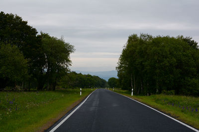 Narrow empty country road between green nature and with sky