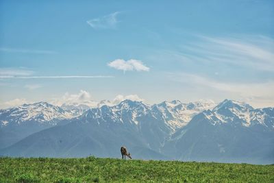 Scenic view of snowcapped mountain against sky