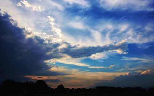 Low angle view of silhouette trees against sky