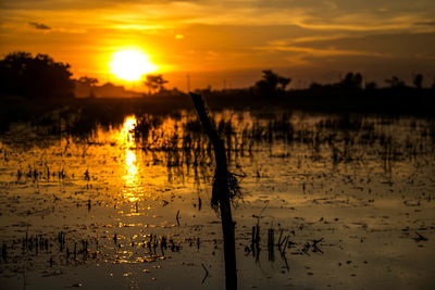 Scenic view of lake against sky during sunset