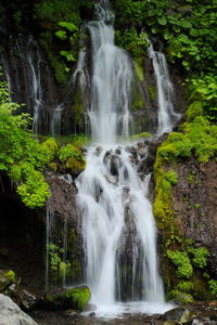 Waterfall in forest