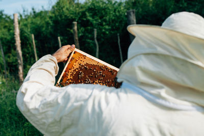 Rear view of beekeeper examining beehive on land