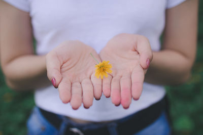 Close-up of hand holding yellow flower