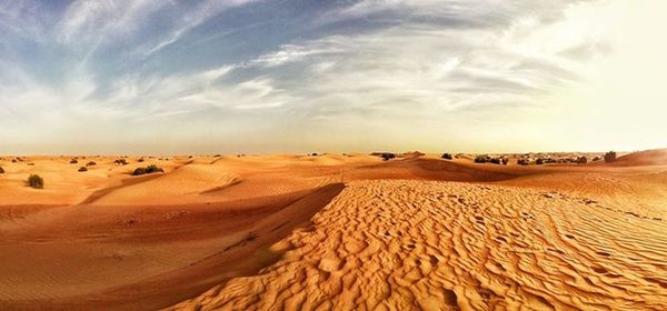 Scenic view of desert