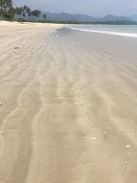 Scenic view of beach