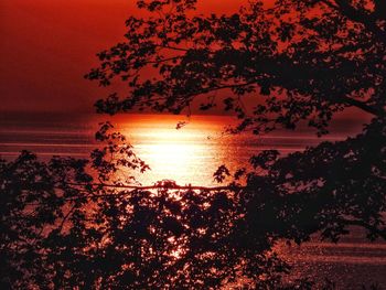 Silhouette trees by sea against orange sky